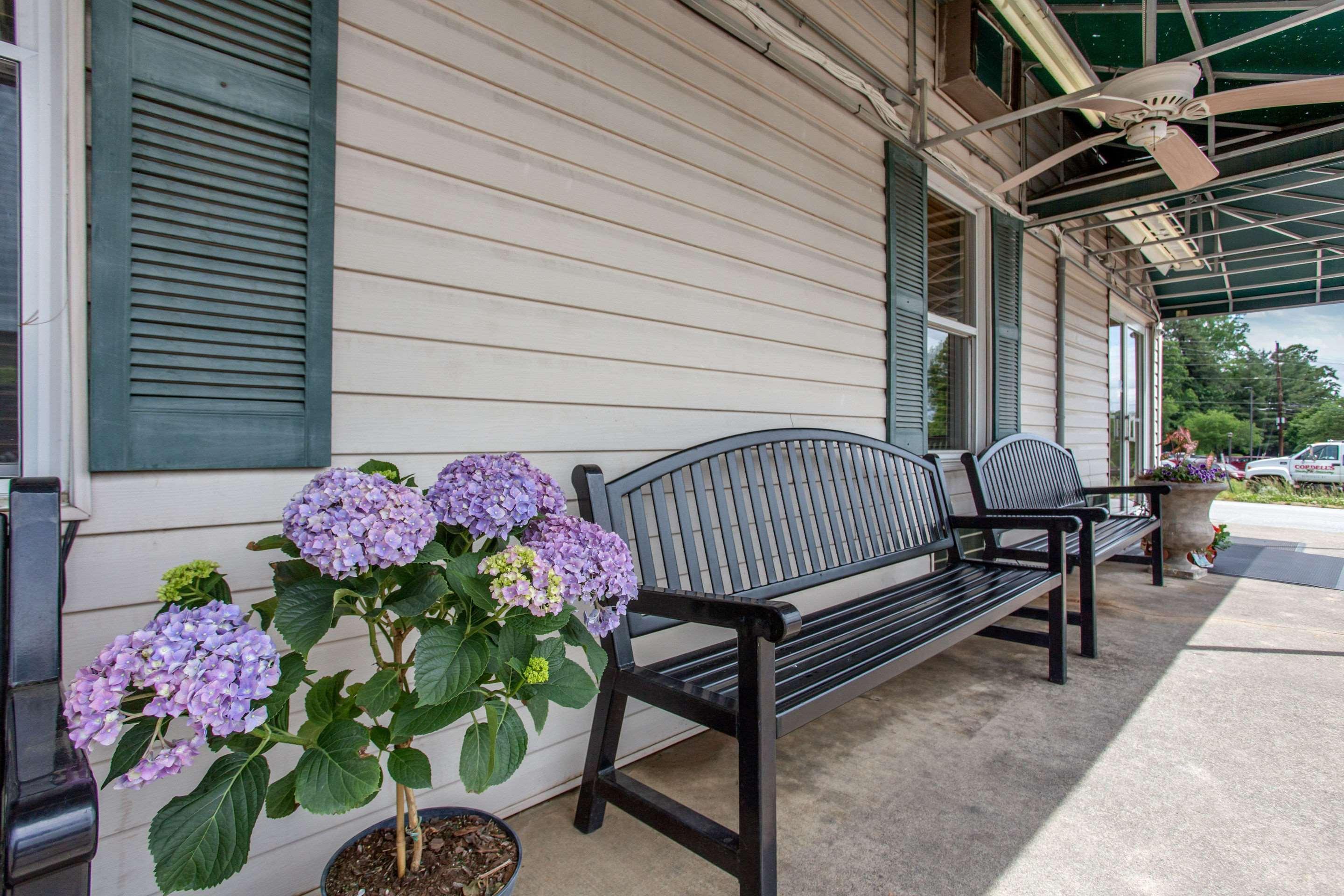 Rodeway Inn Asheville Extérieur photo